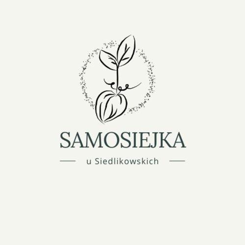 Samosiejka - Z Widokiem Na Jezioro Villa Lidzbark Welski Luaran gambar